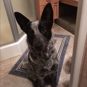 Meet your Posher, Kelly