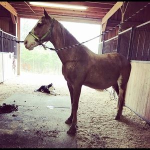 Meet your Posher, Brooke