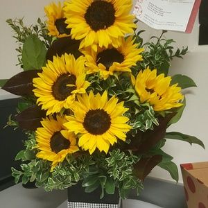 Meet your Posher, Gloria