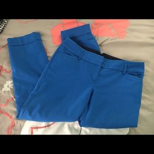 Express Blue Dressy Capris/ Cropped Pant