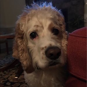 Meet your Posher, Claire