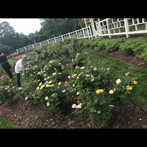 Meet your Posher, Aline