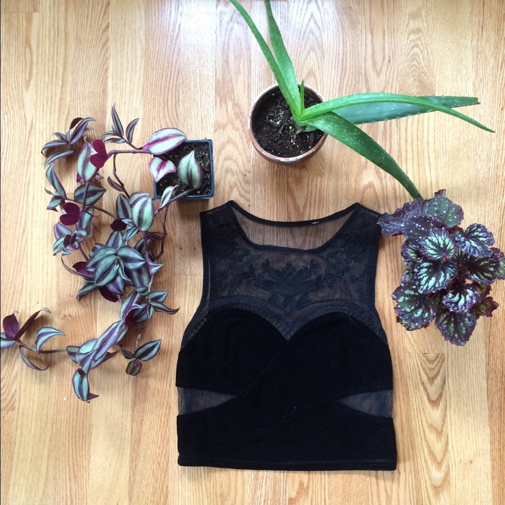 Urban outfitters velvet crop top
