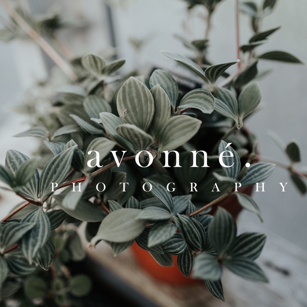 Destination Wedding Photographer.