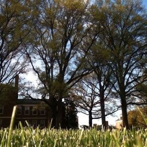 Meet your Posher, Vivien