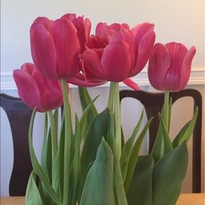 Meet your Posher, Joy