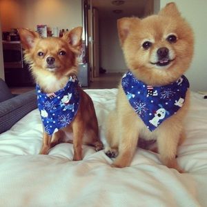 Meet your Posher, Denise