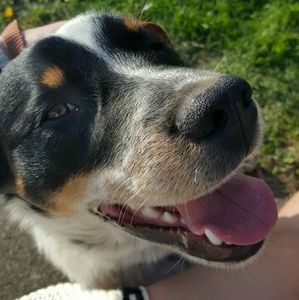 Meet your Posher, Jasmine