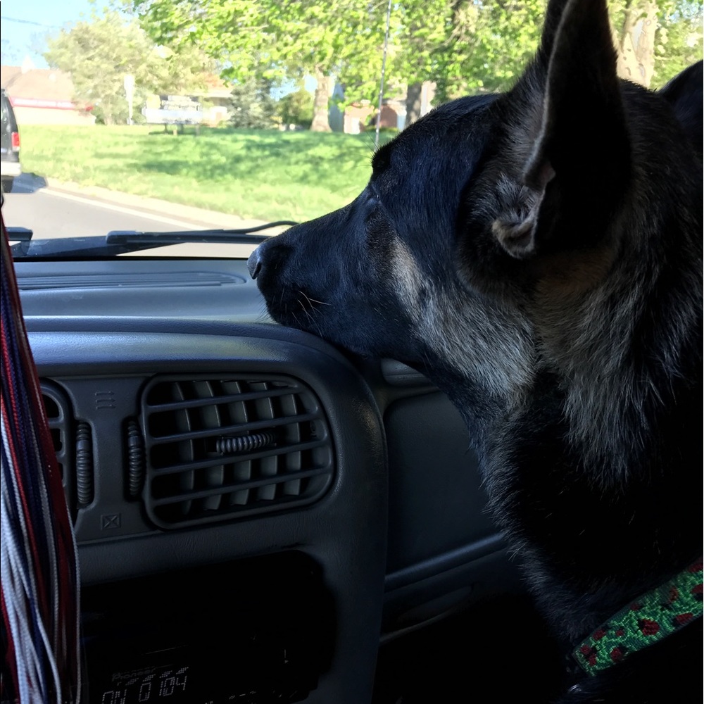 Hello Everyone! Read The Description!!! - image 1