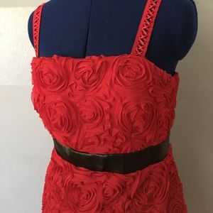 Red Floral Patterned Dress