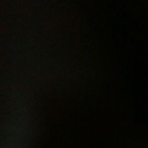 Meet your Posher, Shane