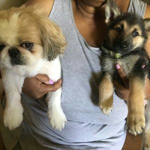 Meet your Posher, Gloria