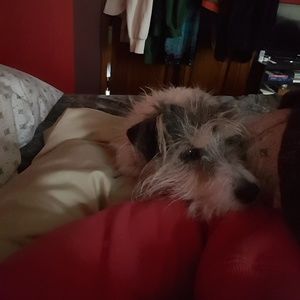 Meet your Posher, Leslie