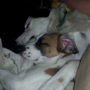 Meet your Posher, Marissa