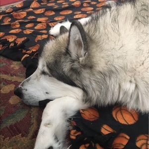 Meet your Posher, Renai