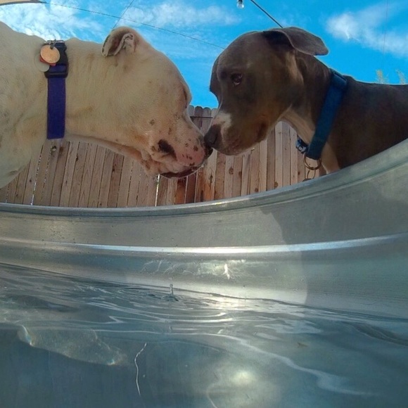 ✨ - Picture 4 of 5