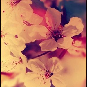 Meet your Posher, Araceli