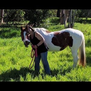 Meet your Posher, Dawn