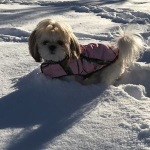 Meet your Posher, Madison