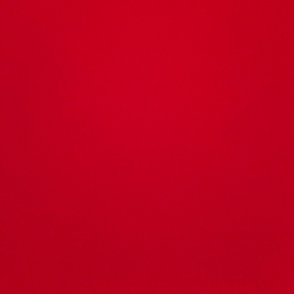 Meet your Posher, Charlee