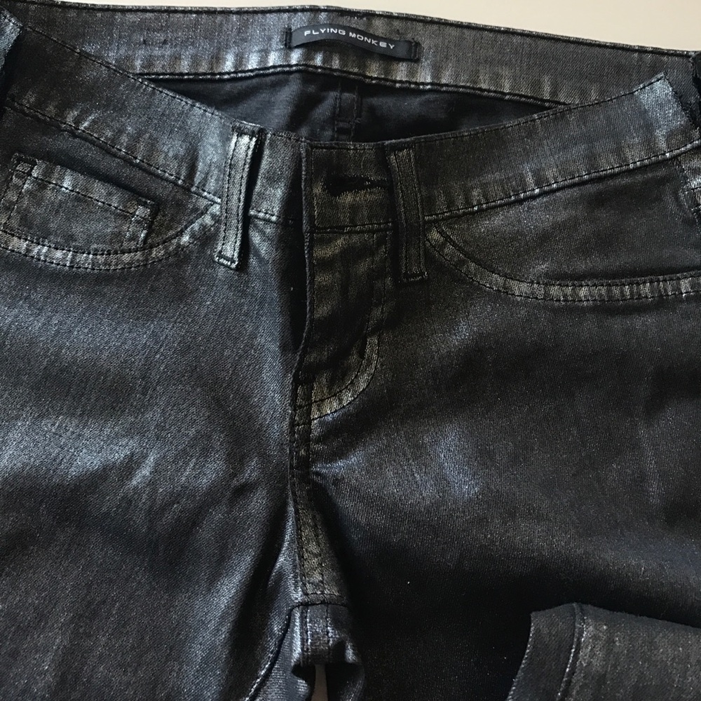 Flying Monkey - image 2