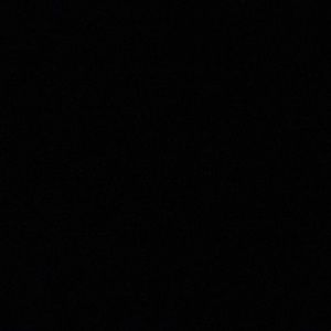 Meet your Posher, Benjamin