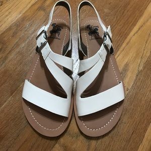 New Sam Edelman. Never worn