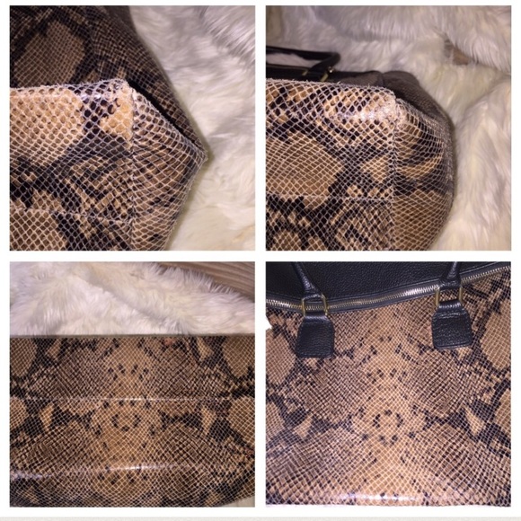 BIG! LAPTOP SIZE! Vera Pelle snake &calf STUNNING - Picture 8 of 8