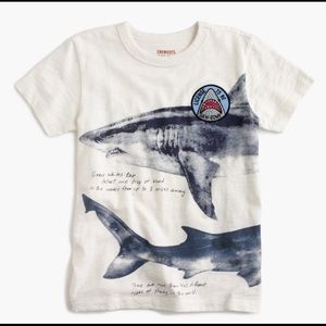Crewcuts Boys Shark Graphic Tee - size 4-5