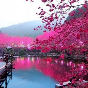 Meet your Posher, Darian