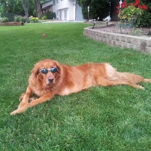 Meet your Posher, Joanne