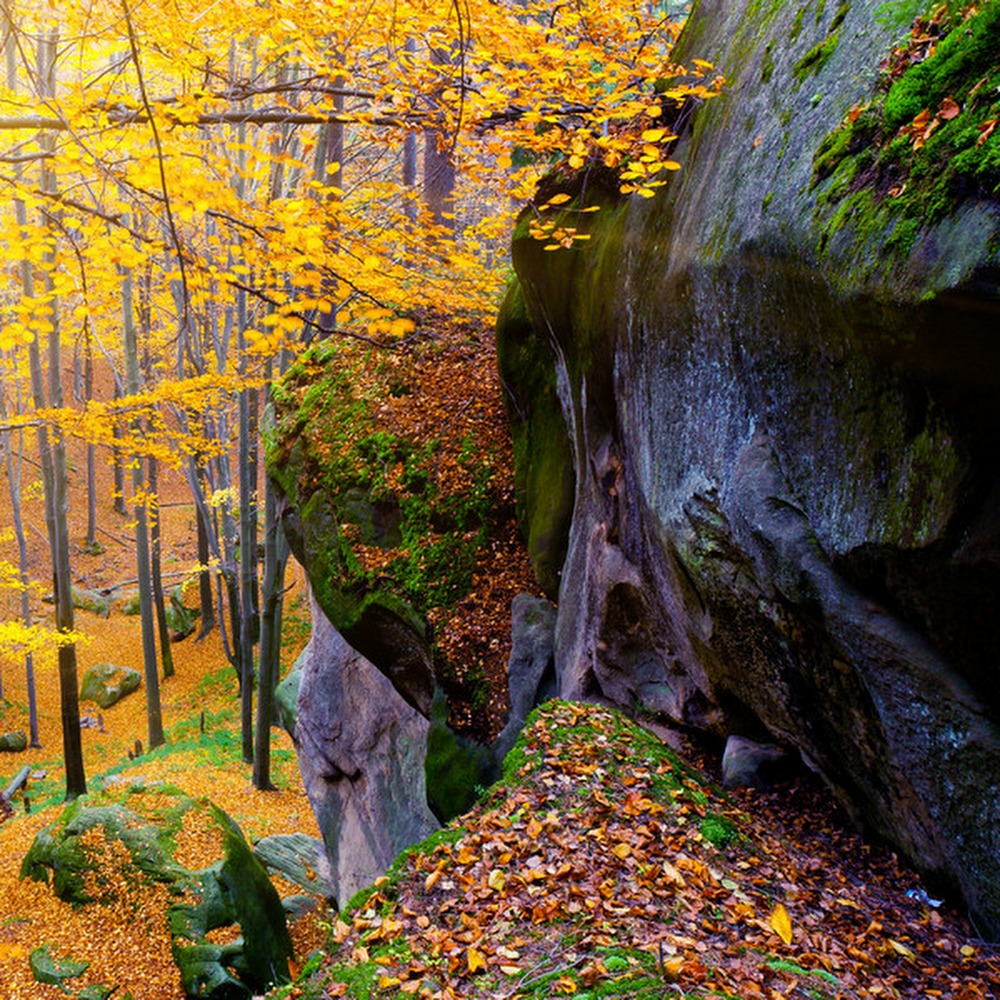 Meet your Posher, Morena