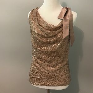 Ann Taylor Sequin Top