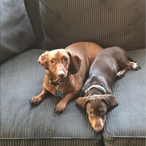 Meet your Posher, Rena