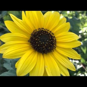 Meet your Posher, Beverly