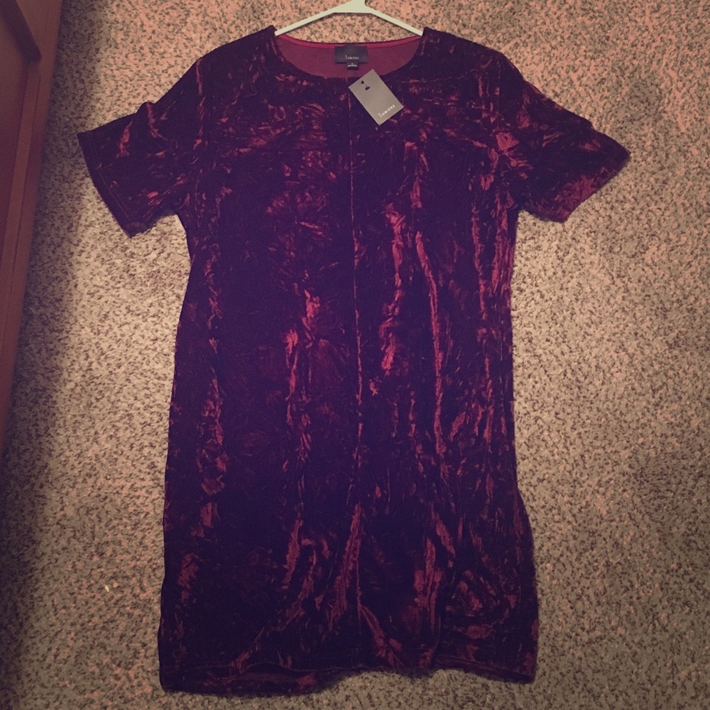 NWT! Velvet shift dress!
