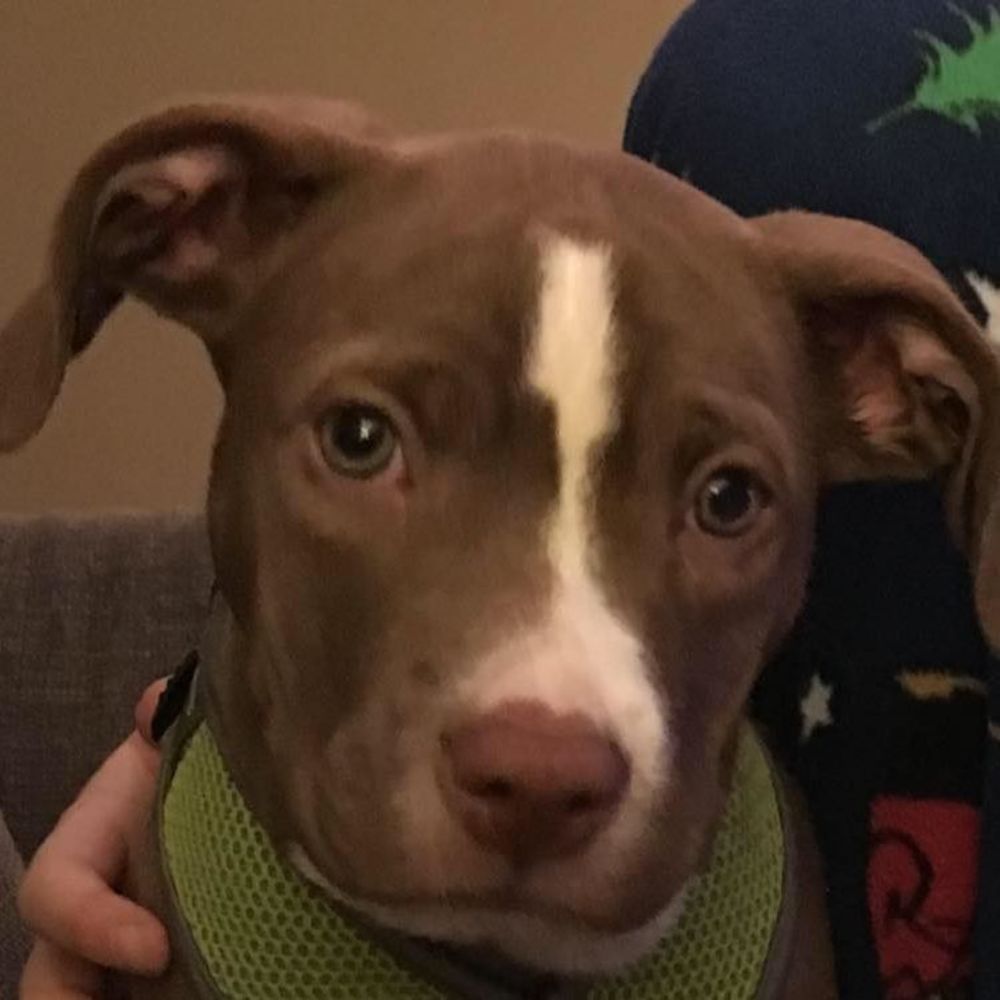 Meet your Posher, Vernae