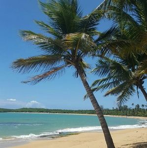 Meet your Posher, Marta