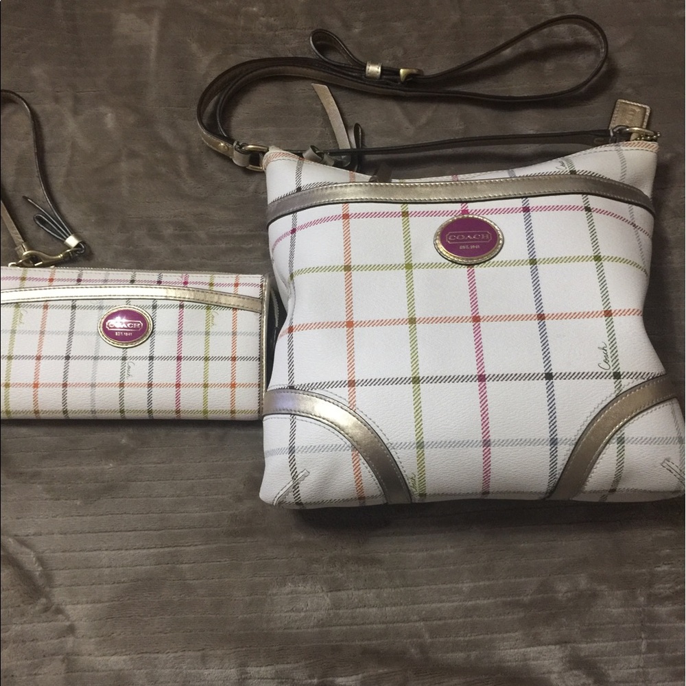 Striped Coach Purse & Wallet