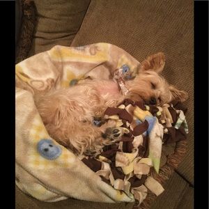 Meet your Posher, Bailey