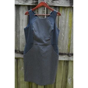 NEW Navy Blue White Pockadot Banana Republic dress
