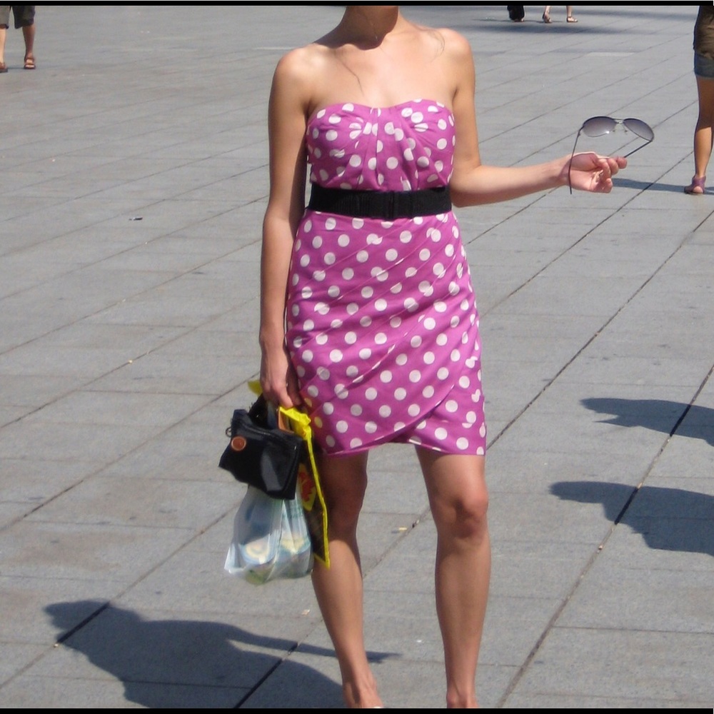 Leifsdottir pink and white polka dot dress Size 0