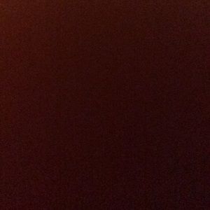 Meet your Posher, Bella