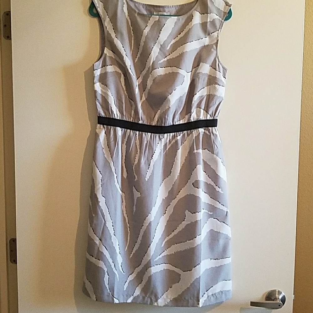 EUC darling Ann Taylor LOFT dress size M