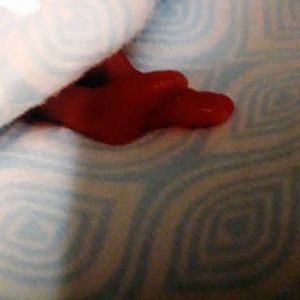 Meet your Posher, Candi