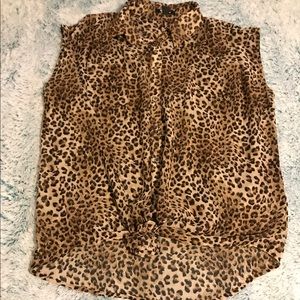 Cheetah Tank