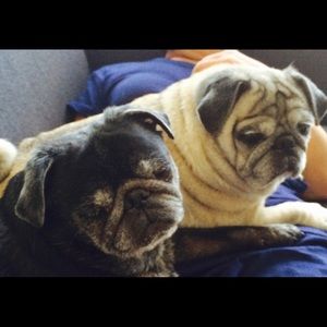 Meet your Posher, Kyoko