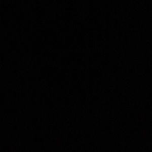 Meet your Posher, Dennis