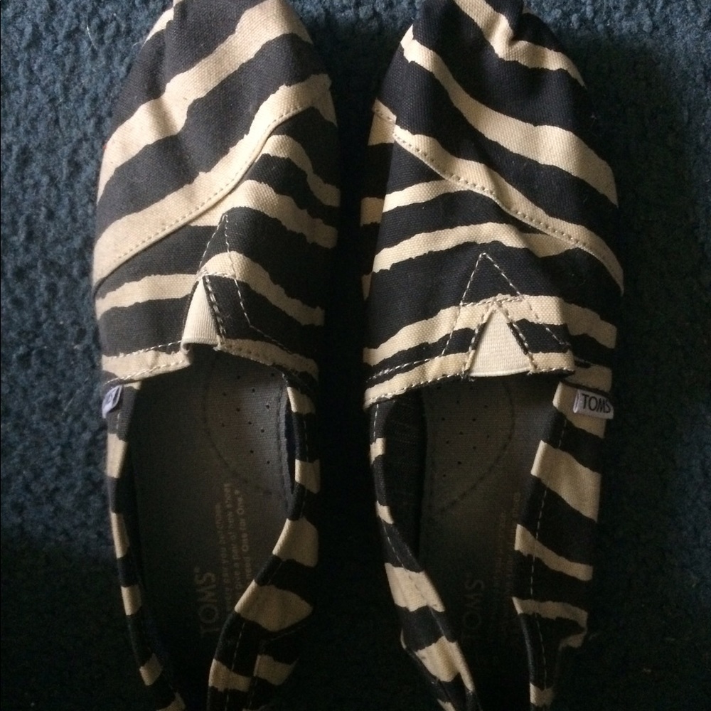 Toms zebra