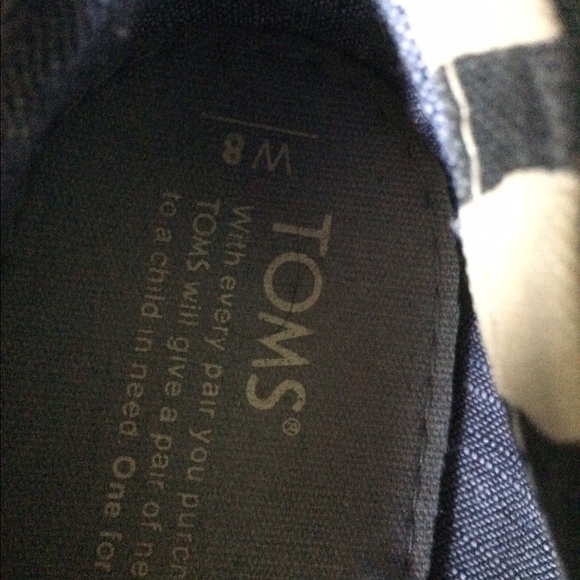 Toms zebra - Picture 2 of 2